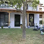 Irina's Psakoudia